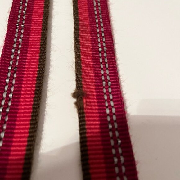 K9 explorer leash and collar - Picture 2 of 4